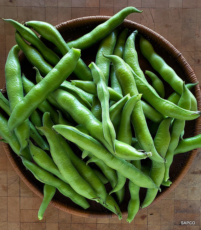 Broad Beans/Chikkudu